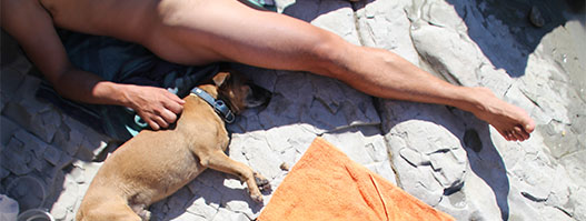 img.bichote