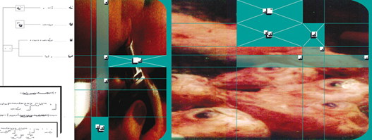 img.exact_transcriptions